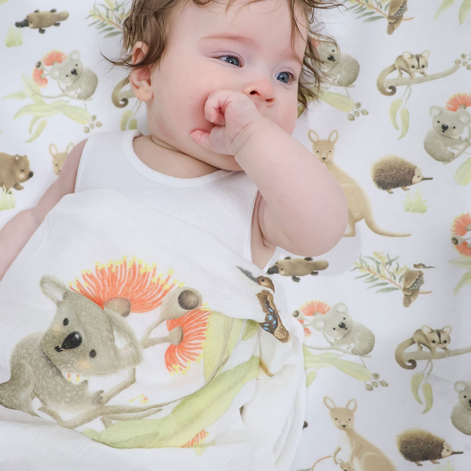 Aussie Animals 3pk Muslin Wraps - Bubba Blue Australia