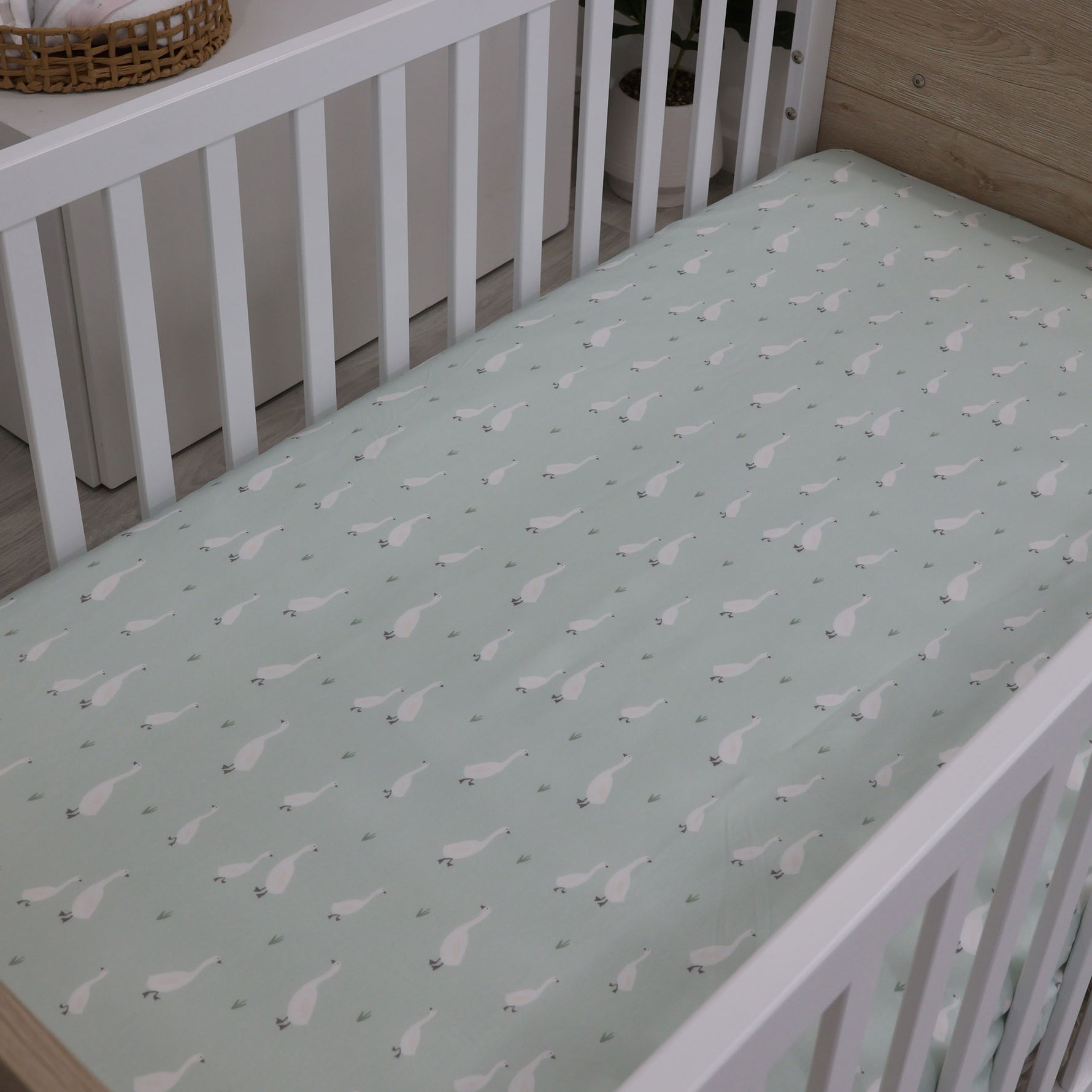 Provincial 2pk Jersey Cot Fitted Sheets - Olive/Taupe - Bubba Blue Australia