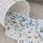 Peter Rabbit & Benjamin Bunny 2pk Jersey Wraps - Bubba Blue Australia