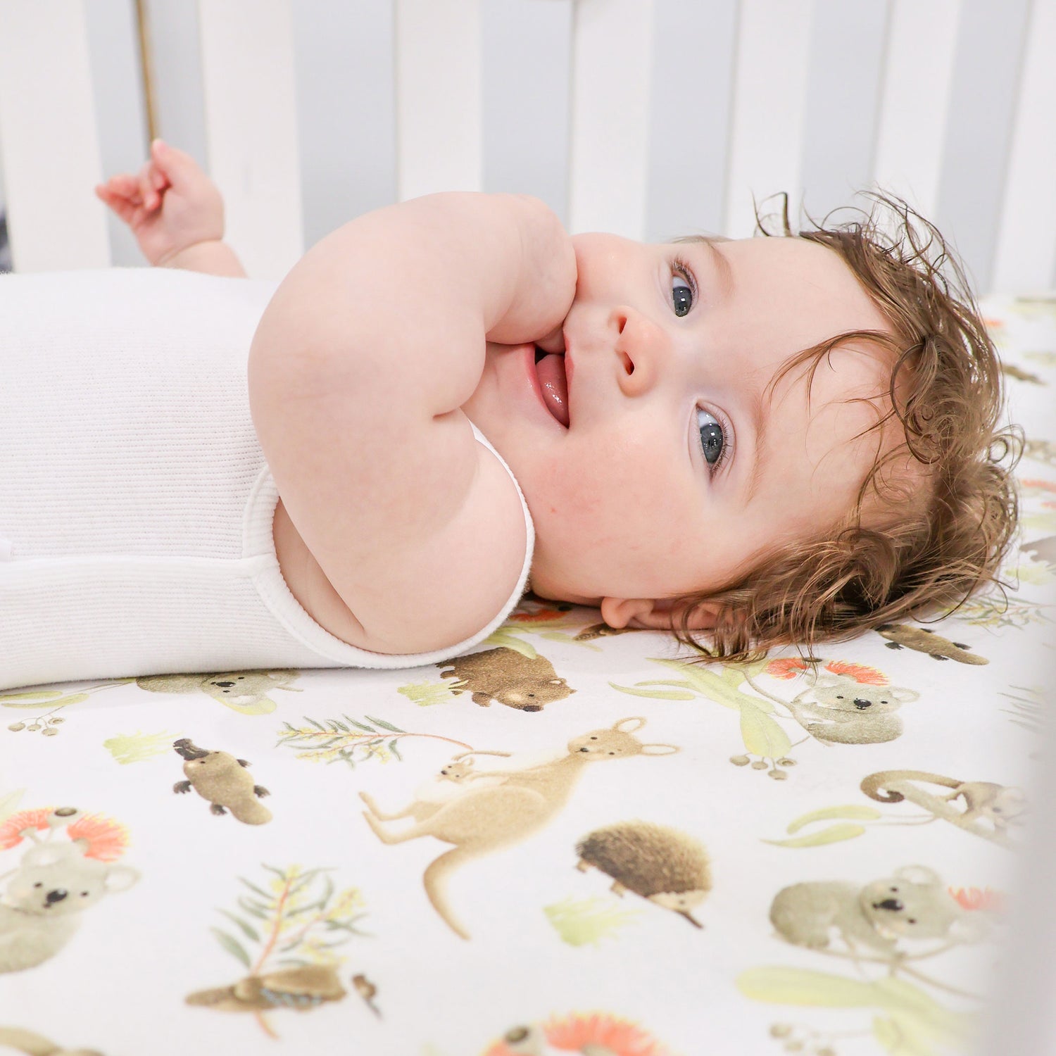 Aussie Animals Jersey Cot Fitted Sheet - Bubba Blue Australia
