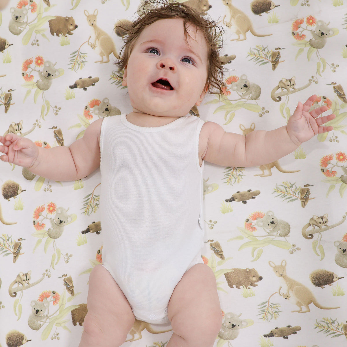 Aussie Animals Jersey Cot Fitted Sheet - Bubba Blue Australia