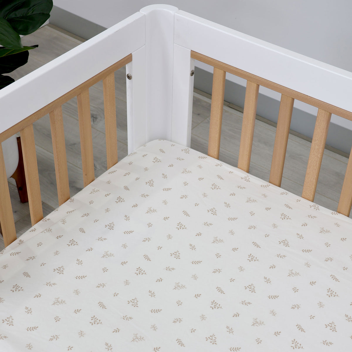 Organic Cotton 2pk Cot Fitted Sheets - Chestnut - Bubba Blue Australia
