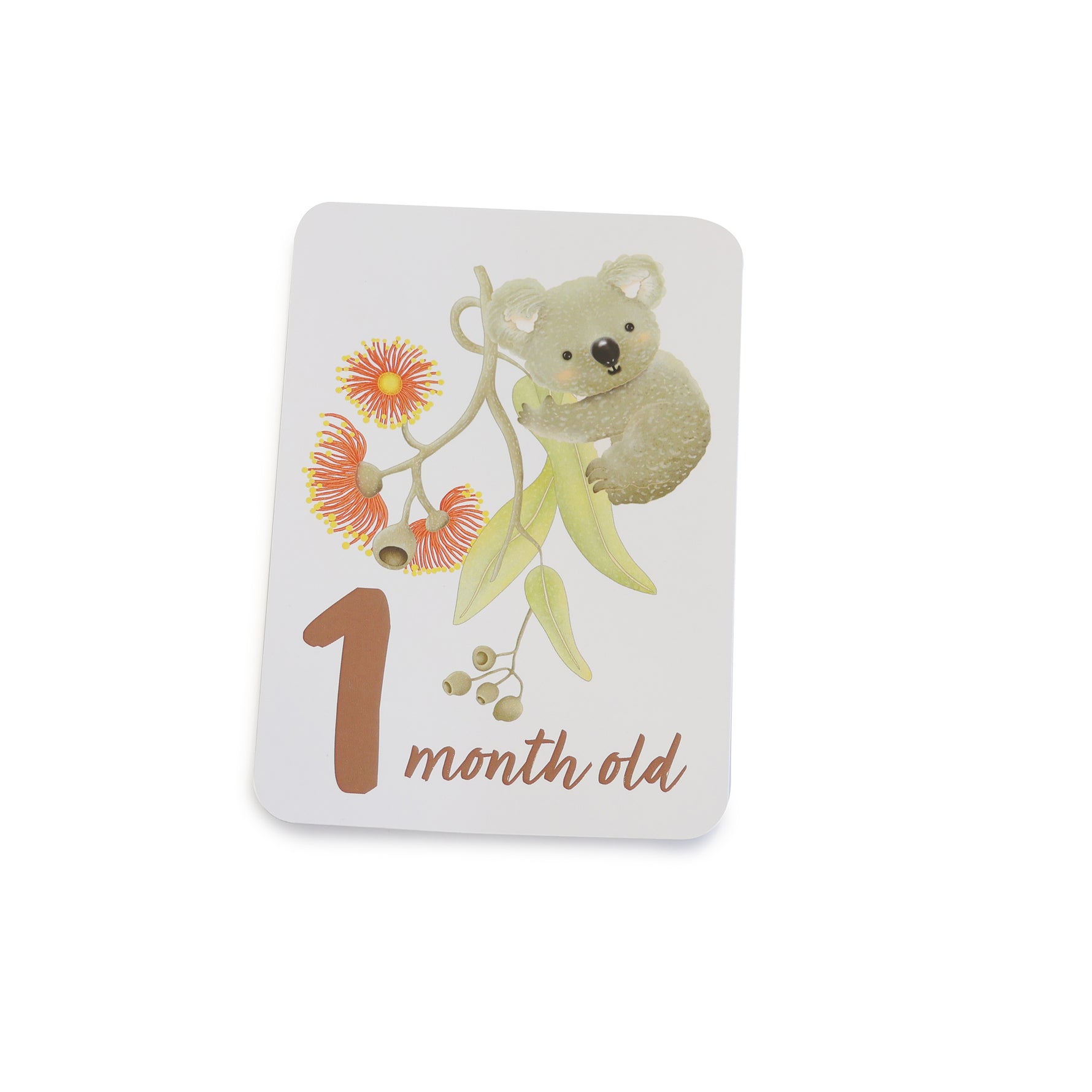 Aussie Animals Hello World Gift Set - Bubba Blue Australia