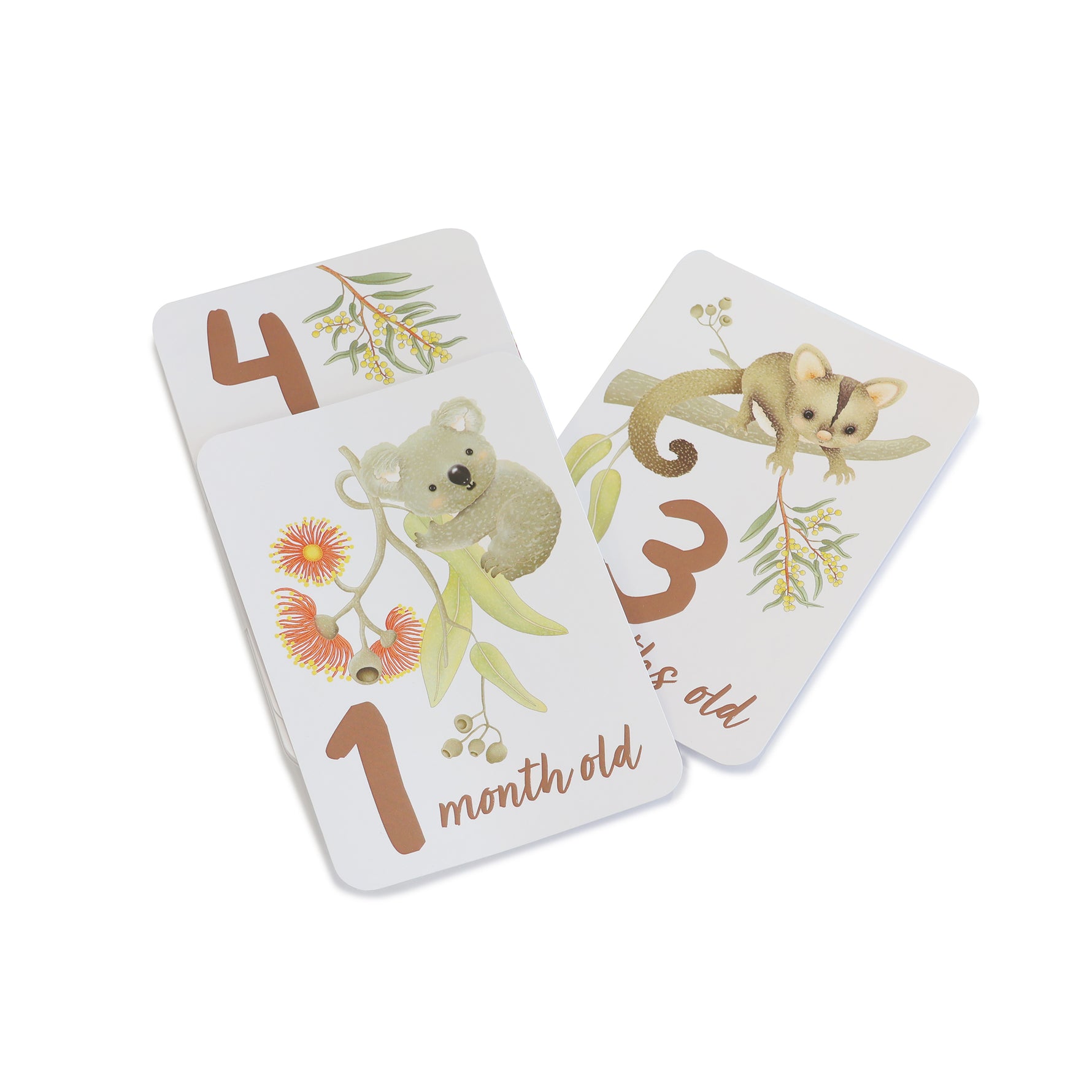 Aussie Animals Hello World Gift Set - Bubba Blue Australia
