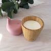 2x Plum Bamboo and Silicone Sippy Cup Bundle