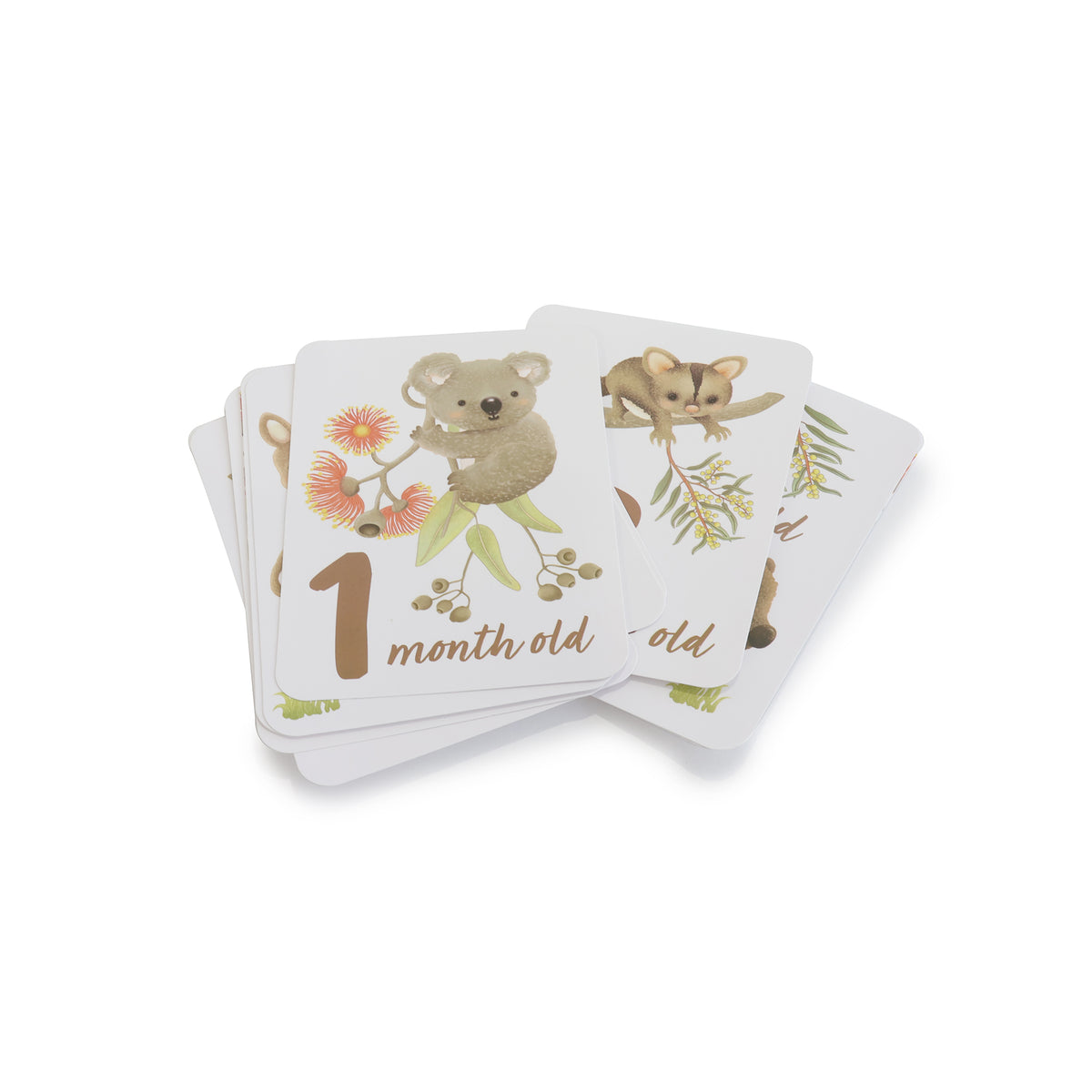 Aussie Animals Hello World Gift Set - Bubba Blue Australia