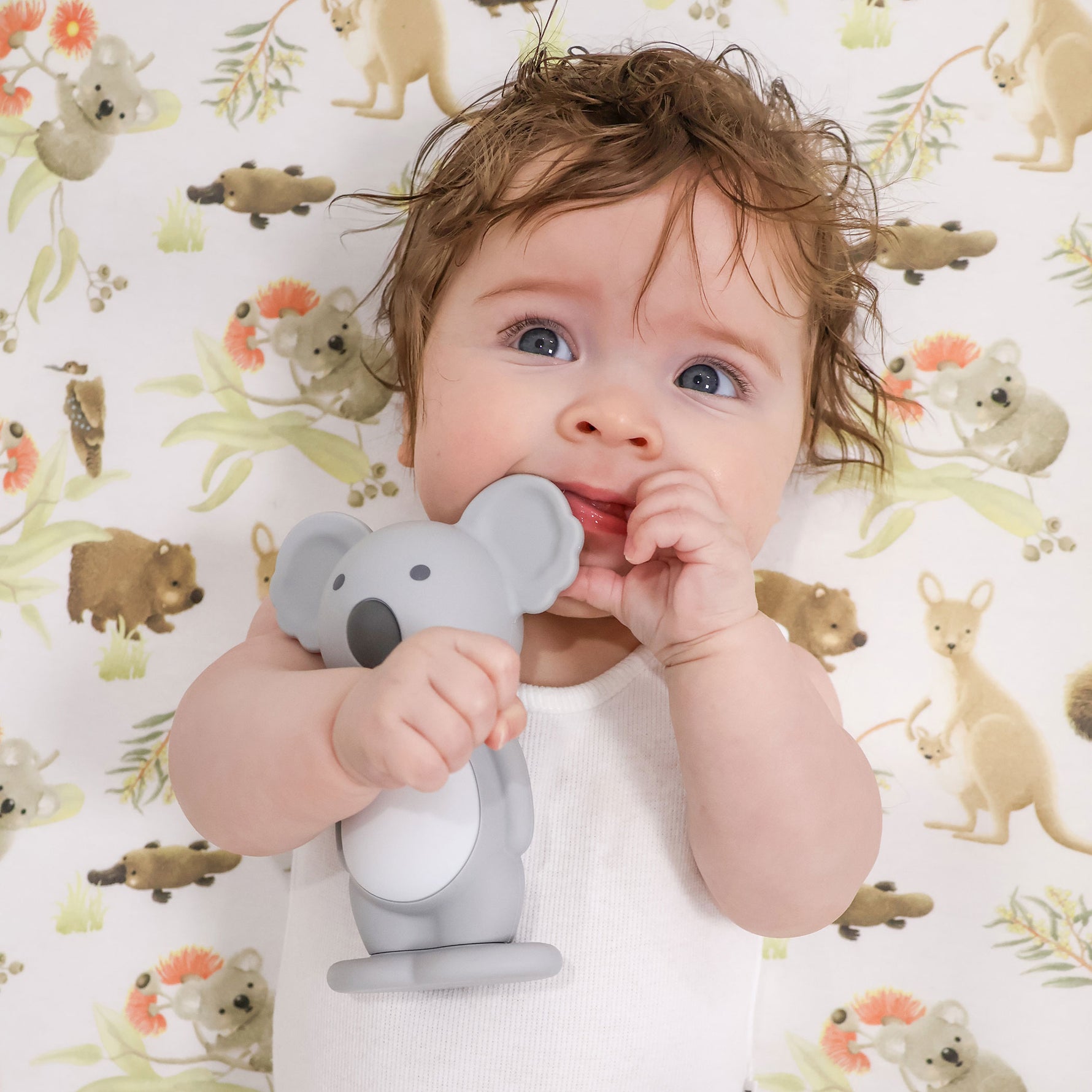 Aussie Animals 'Koala' Bundle - Bubba Blue Australia