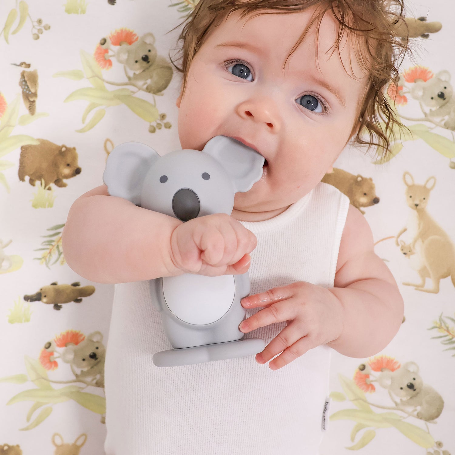 Aussie Animals 'Koala' Bundle - Bubba Blue Australia