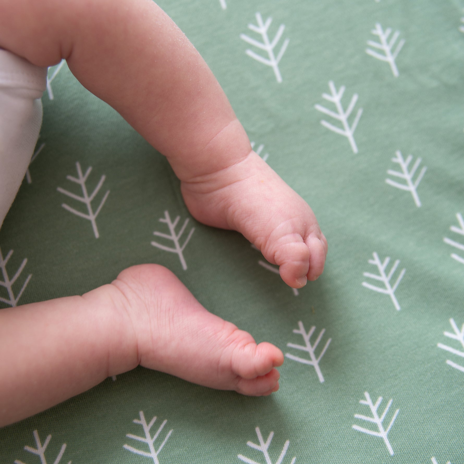 Nordic 2pk Jersey Cot Fitted Sheets Avocado/Forest - Bubba Blue Australia