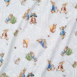 Peter Rabbit & Benjamin Bunny 0.7 TOG Sleep Bag - Bubba Blue Australia
