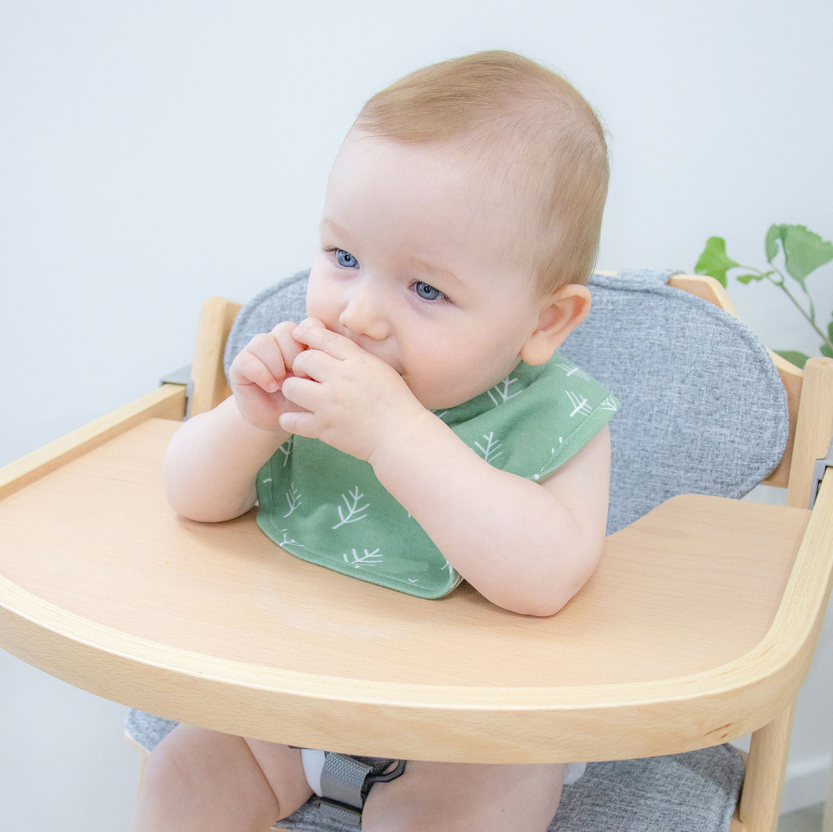 Nordic 2pk Dribble Bibs Avocado/Forest - Bubba Blue Australia