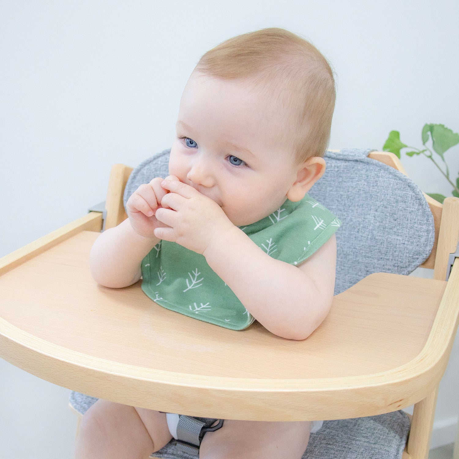 Nordic 2pk Dribble Bibs Avocado/Forest - Bubba Blue Australia