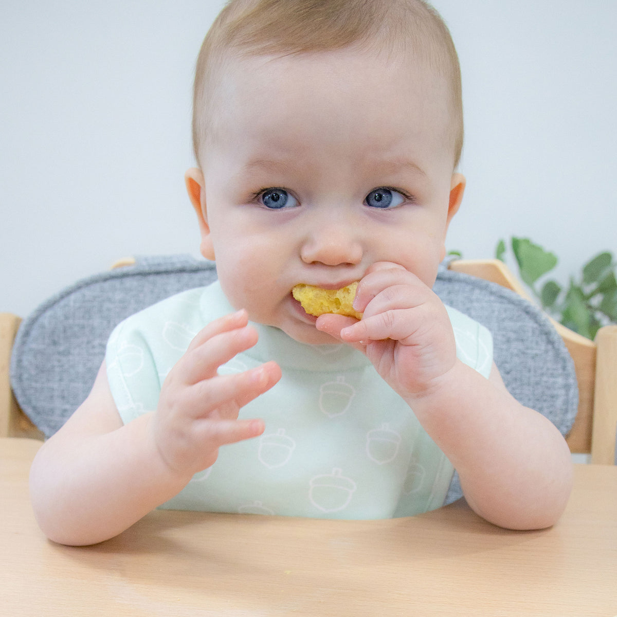 Nordic 2pk Dribble Bibs Avocado/Forest - Bubba Blue Australia