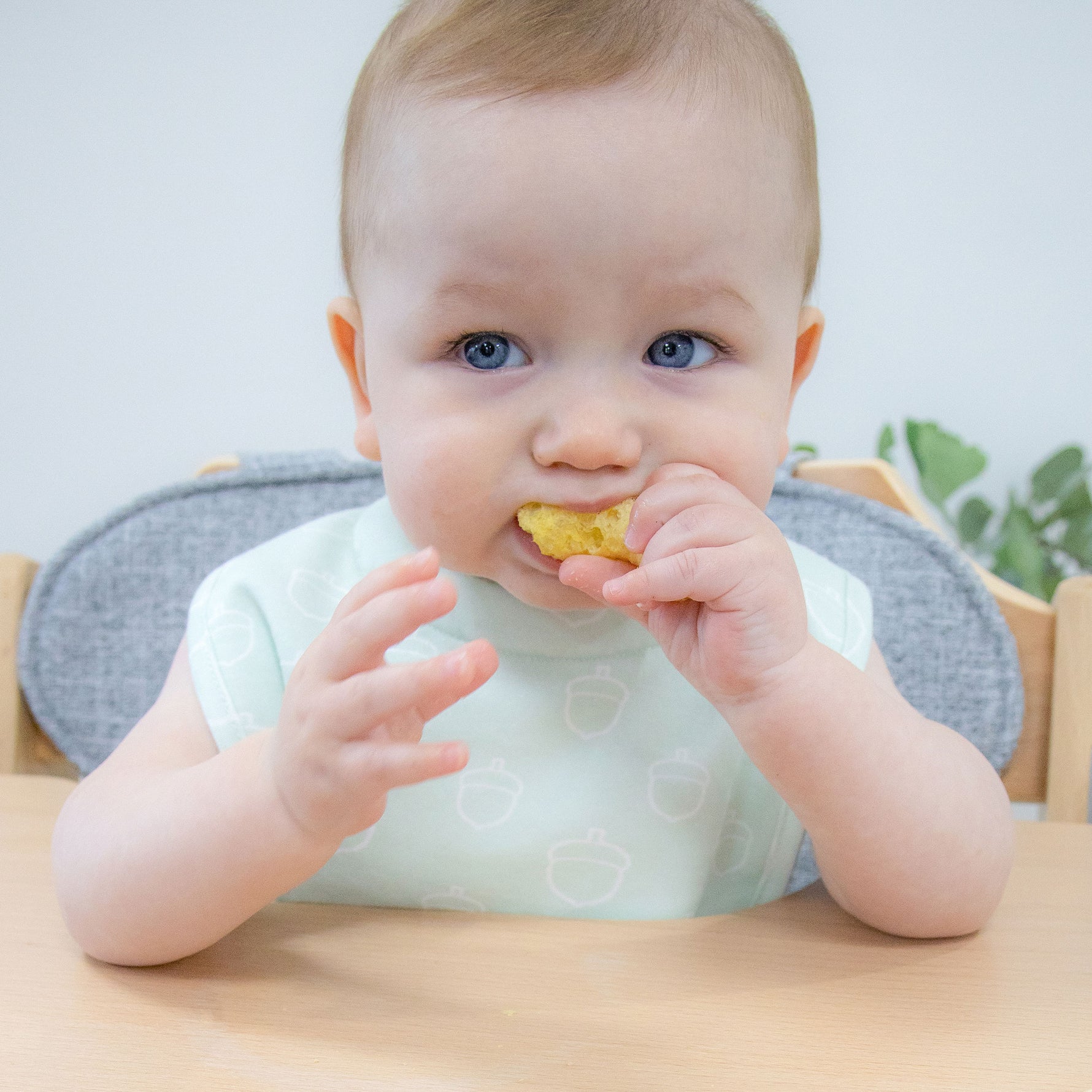 Nordic 2pk Dribble Bibs Avocado/Forest - Bubba Blue Australia