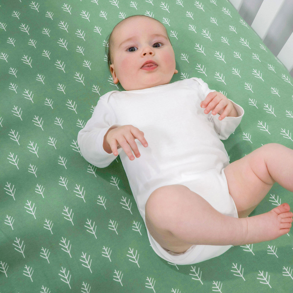 Nordic 2pk Jersey Cot Fitted Sheets Avocado/Forest - Bubba Blue Australia