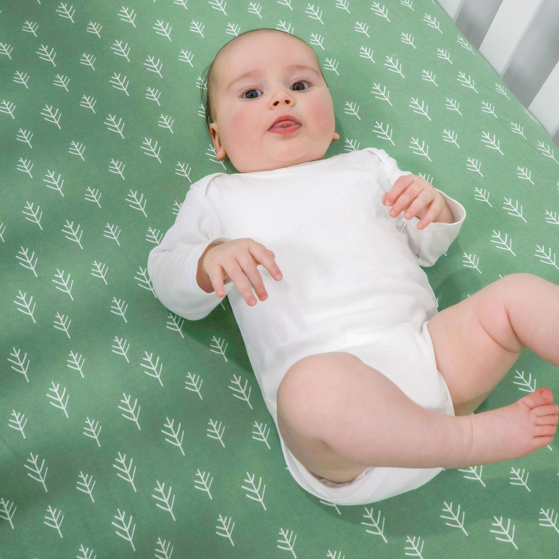 Nordic 2pk Jersey Cot Fitted Sheets Avocado/Forest - Bubba Blue Australia