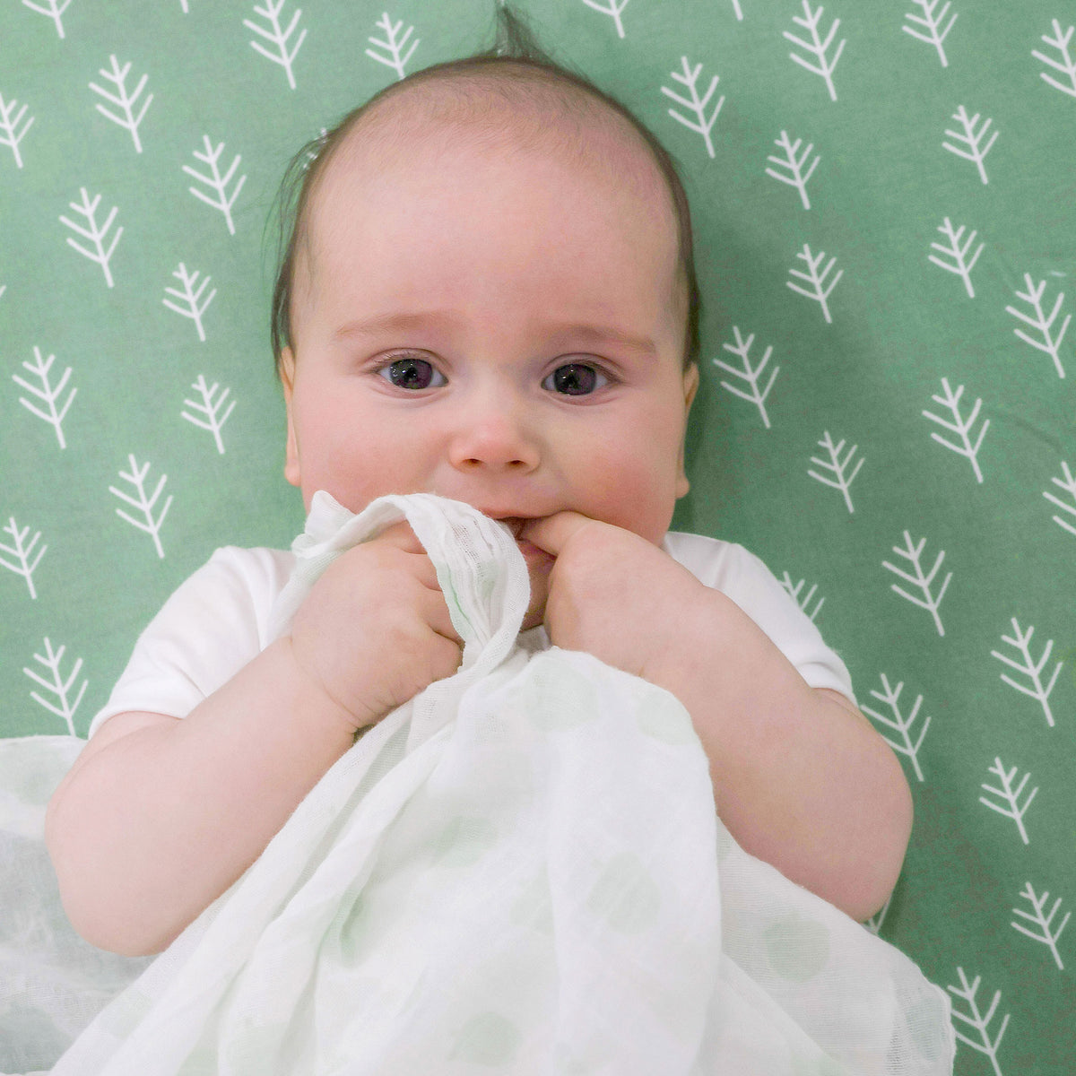 Nordic 3pk Muslin Wraps Avocado/Forest - Bubba Blue Australia